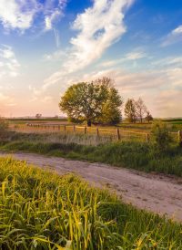 August 13, 2025 | Methadone Update | ME SUD Learning Community