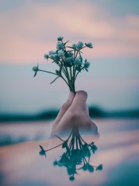 August 8, 2025 | Buprenorphine Formulations | ME SUD Learning Community